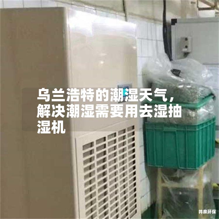 乌兰浩特的潮湿天气，解决潮湿需要用去湿抽湿机