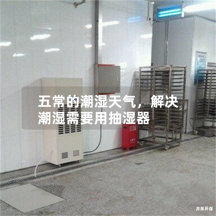 五常的潮湿天气，解决潮湿需要用抽湿器