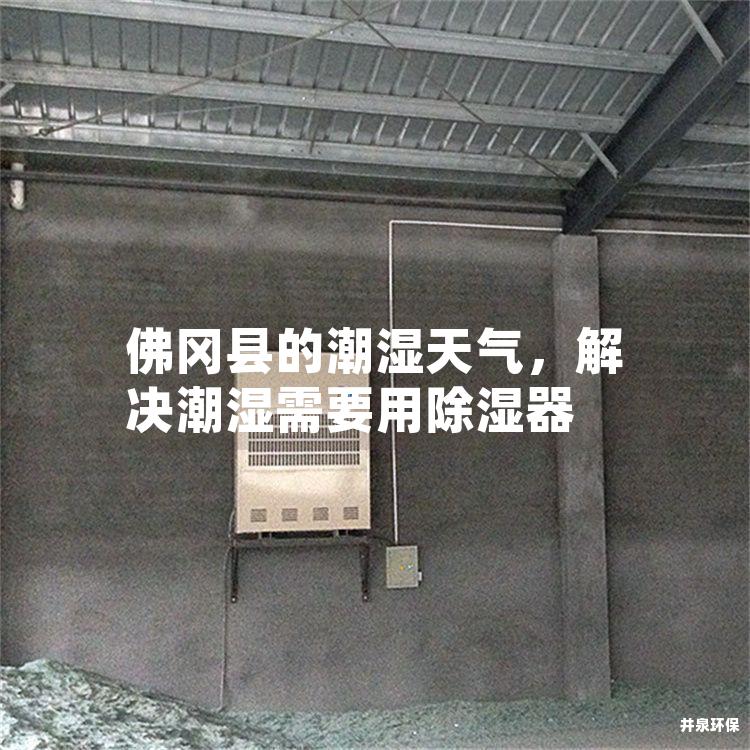 佛冈县的潮湿天气，解决潮湿需要用除湿器
