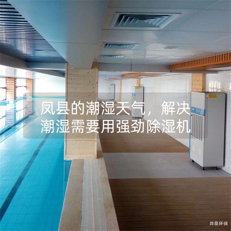 凤县的潮湿天气，解决潮湿需要用强劲除湿机