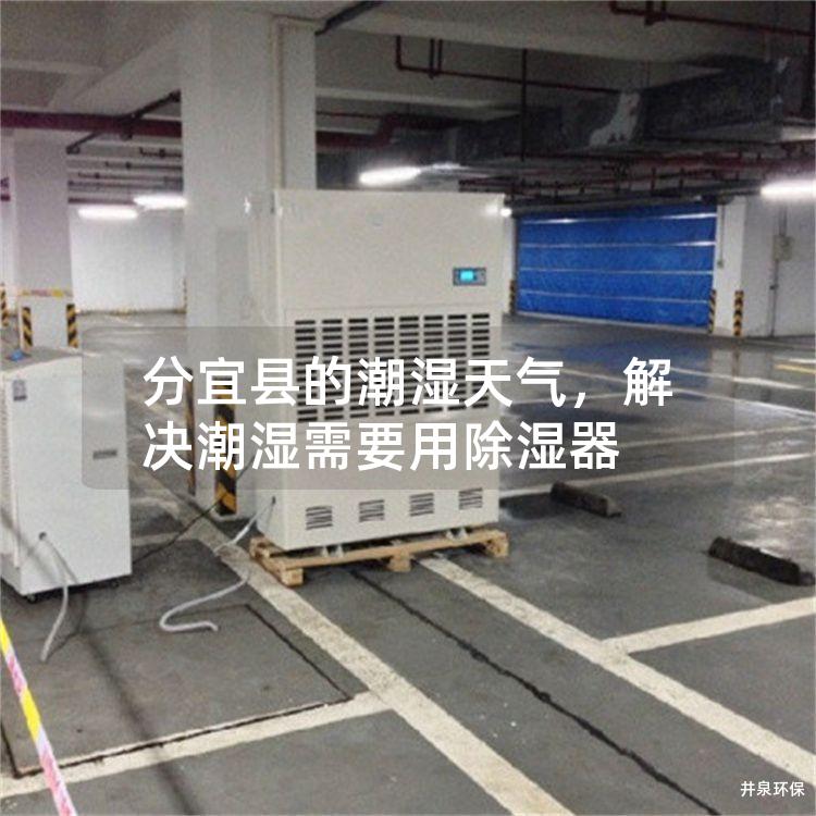 分宜县的潮湿天气，解决潮湿需要用除湿器