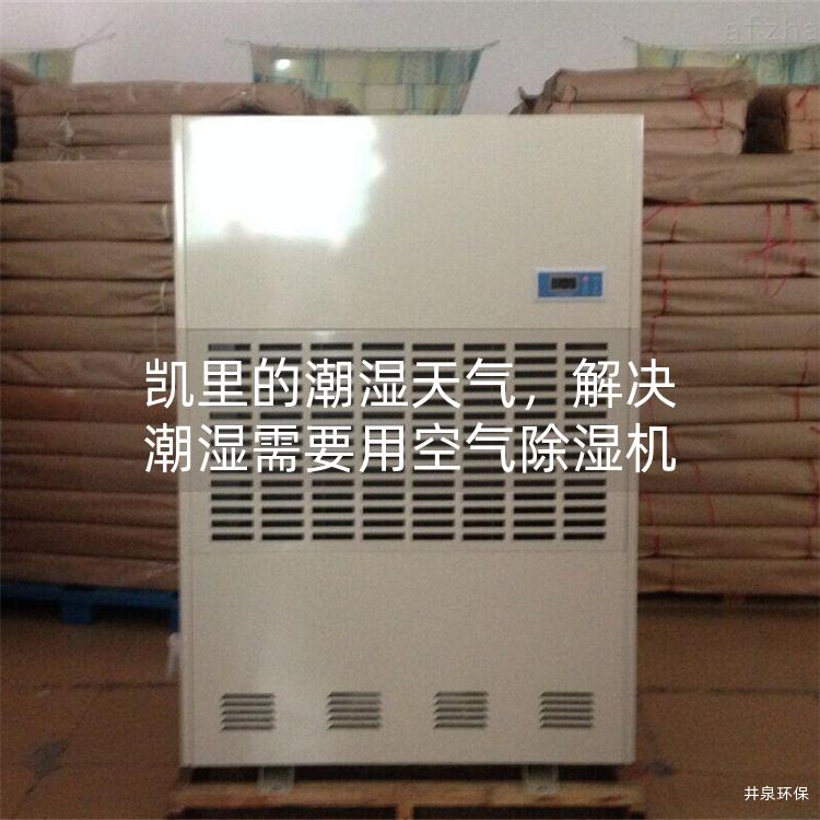 凱里的潮濕天氣，解決潮濕需要用空氣除濕機