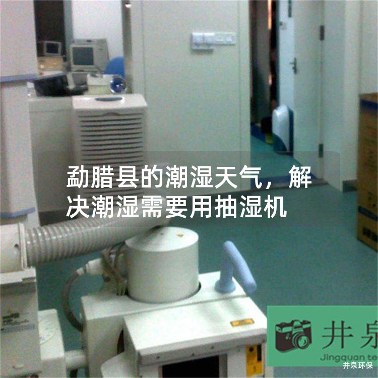勐腊县的潮湿天气，解决潮湿需要用抽湿机