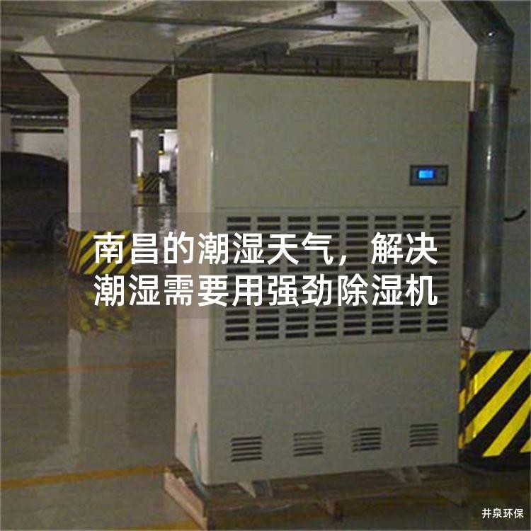 南昌的潮湿天气，解决潮湿需要用强劲除湿机