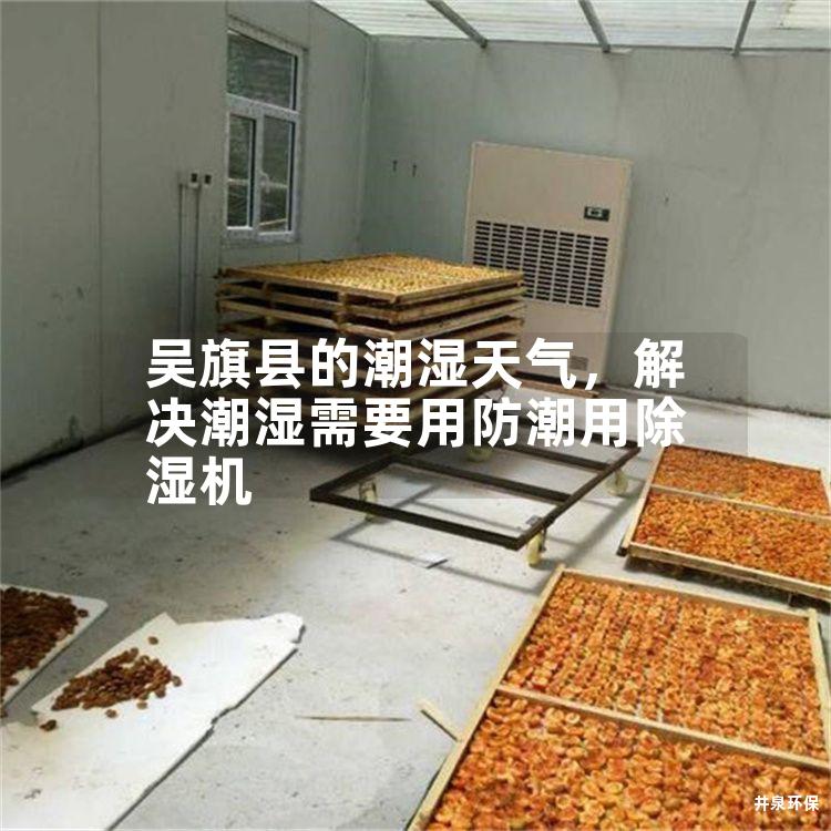 吳旗縣的潮濕天氣，解決潮濕需要用防潮用除濕機(jī)