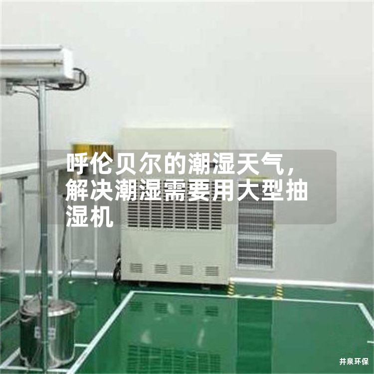 呼伦贝尔的潮湿天气，解决潮湿需要用大型抽湿机