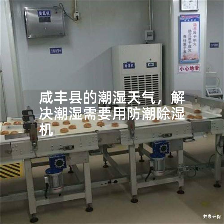 咸豐縣的潮濕天氣，解決潮濕需要用防潮除濕機