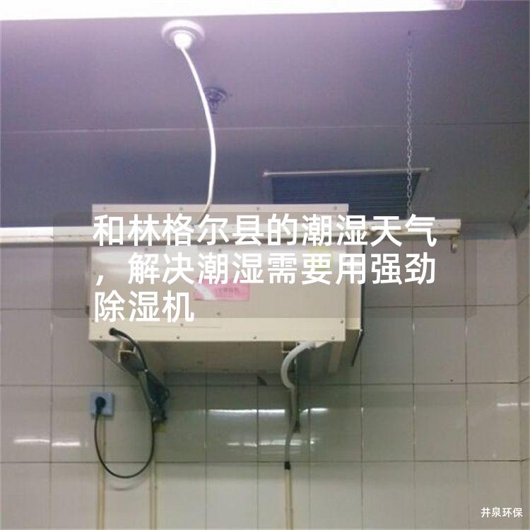 和林格尔县的潮湿天气，解决潮湿需要用强劲除湿机