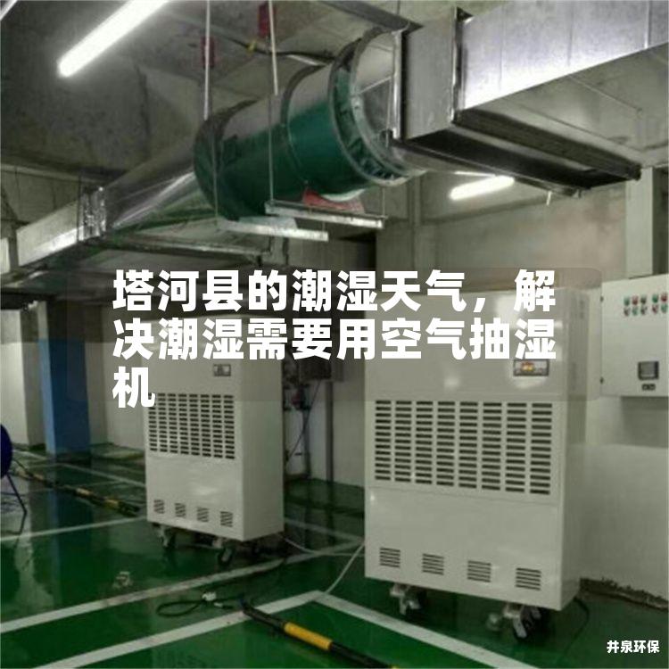 塔河县的潮湿天气,解决潮湿需要用空气抽湿机 塔河县的潮湿天气,解决潮湿需要用空气抽湿机