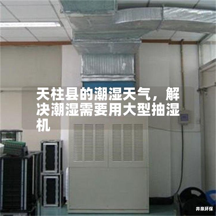 天柱縣的潮濕天氣，解決潮濕需要用大型抽濕機