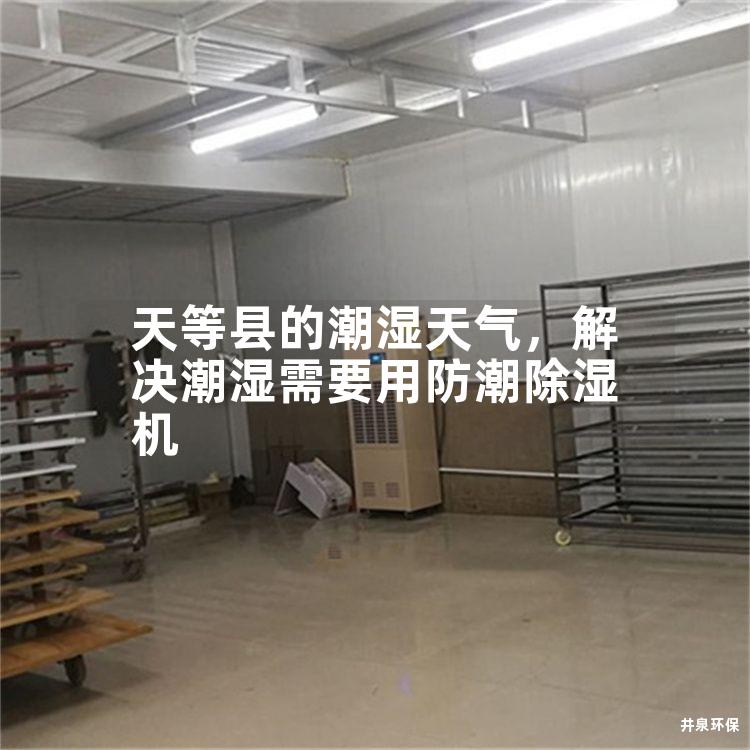 天等县的潮湿天气，解决潮湿需要用防潮除湿机