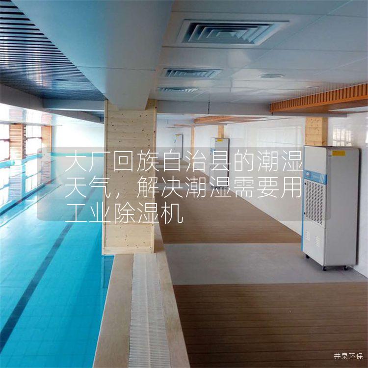 大厂回族自治县的潮湿天气,解决潮湿需要用工业除湿机 大厂回族自治县的潮湿天气,解决潮湿需要用工业除湿机