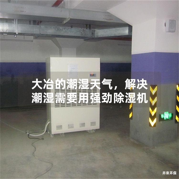 大冶的潮湿天气，解决潮湿需要用强劲除湿机