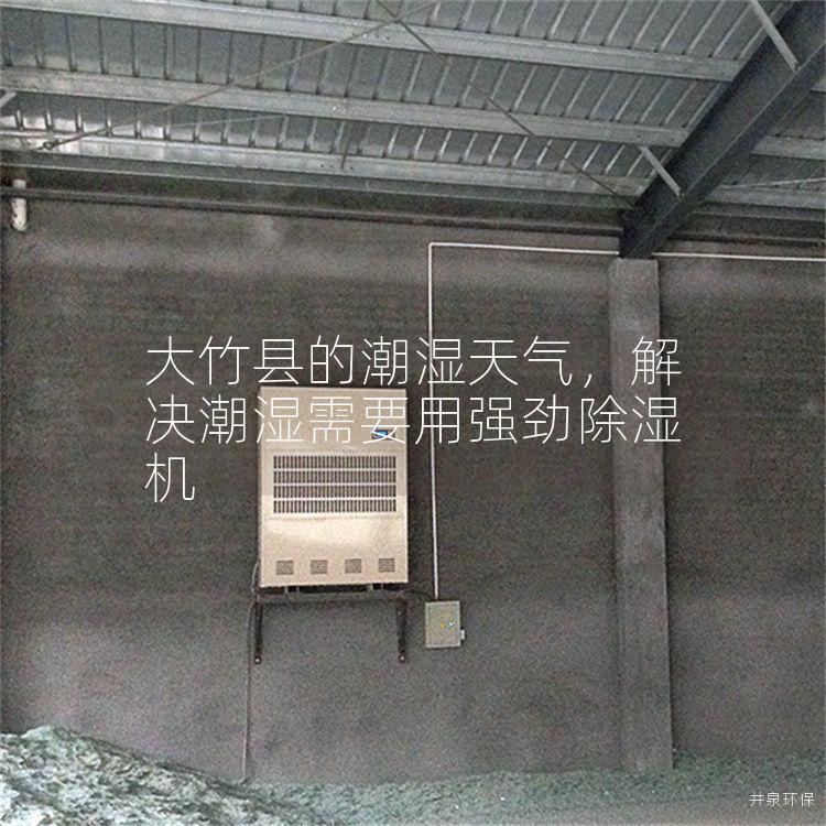 大竹县的潮湿天气，解决潮湿需要用强劲除湿机