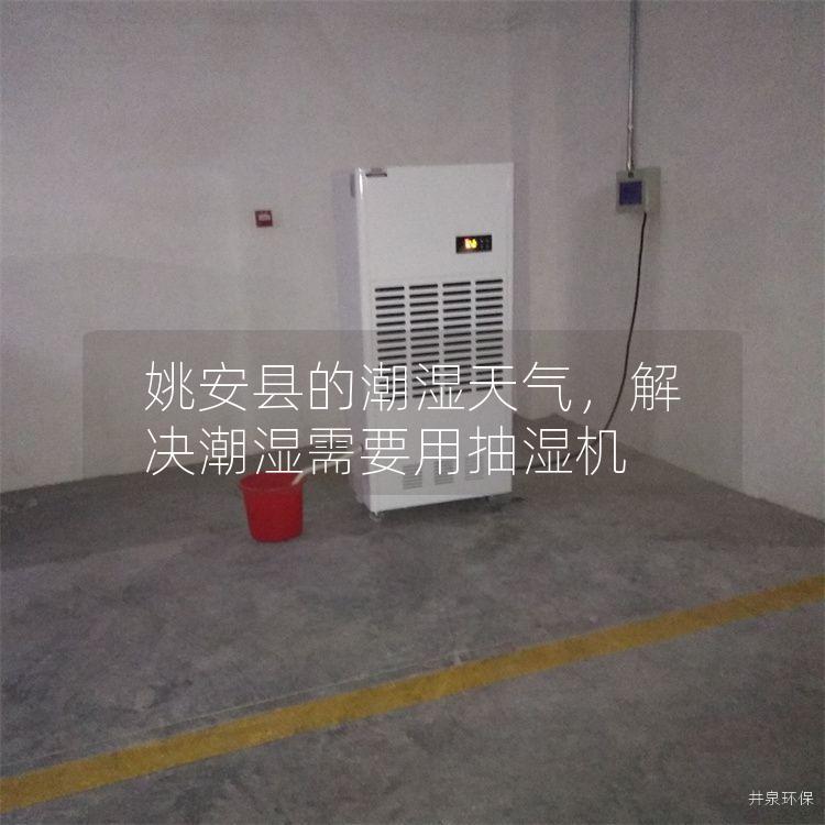 姚安县的潮湿天气，解决潮湿需要用抽湿机