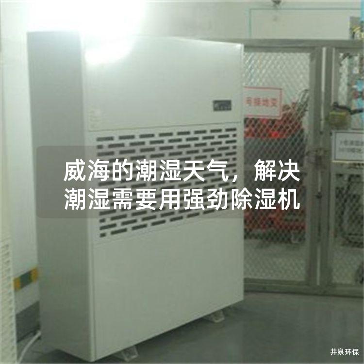 威海的潮濕天氣，解決潮濕需要用強(qiáng)勁除濕機(jī)