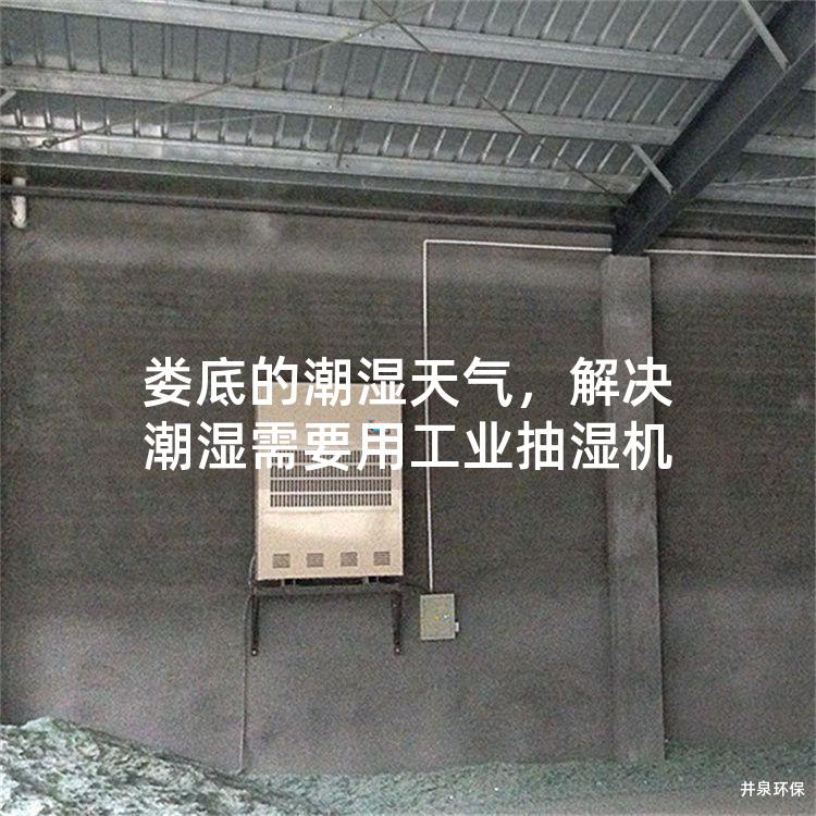 娄底的潮湿天气，解决潮湿需要用工业抽湿机