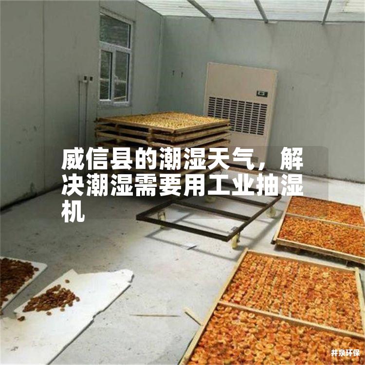 威信縣的潮濕天氣，解決潮濕需要用工業(yè)抽濕機(jī)