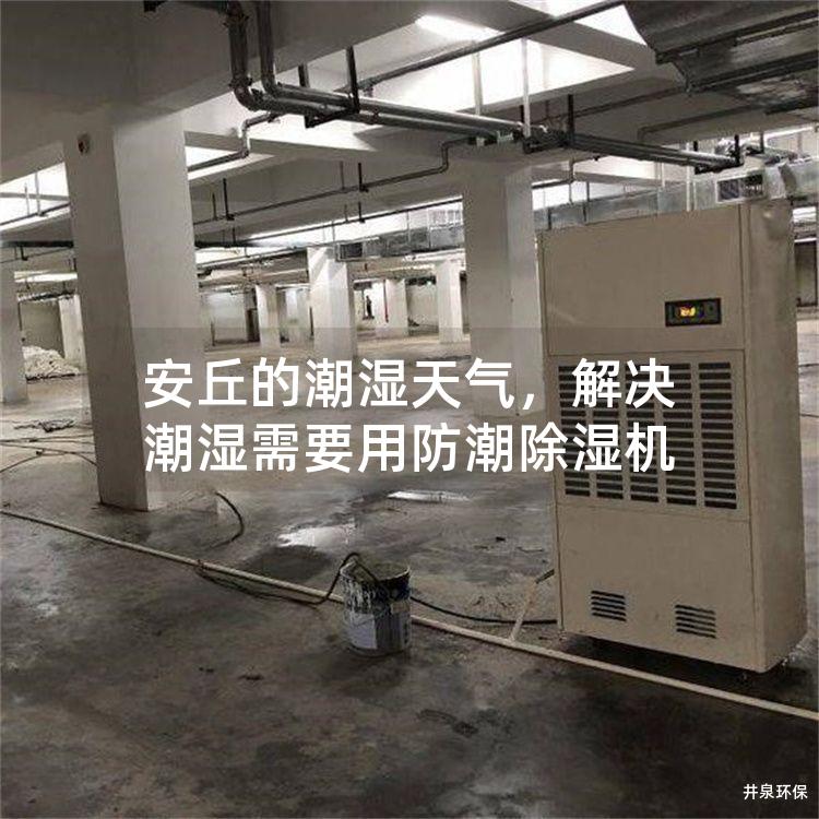 安丘的潮湿天气，解决潮湿需要用防潮除湿机
