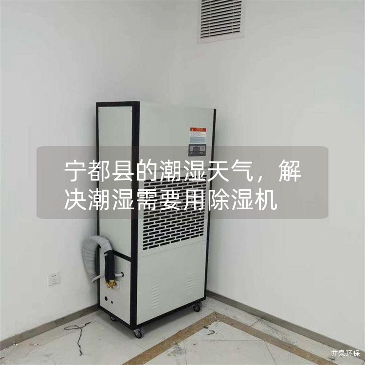 宁都县的潮湿天气，解决潮湿需要用除湿机