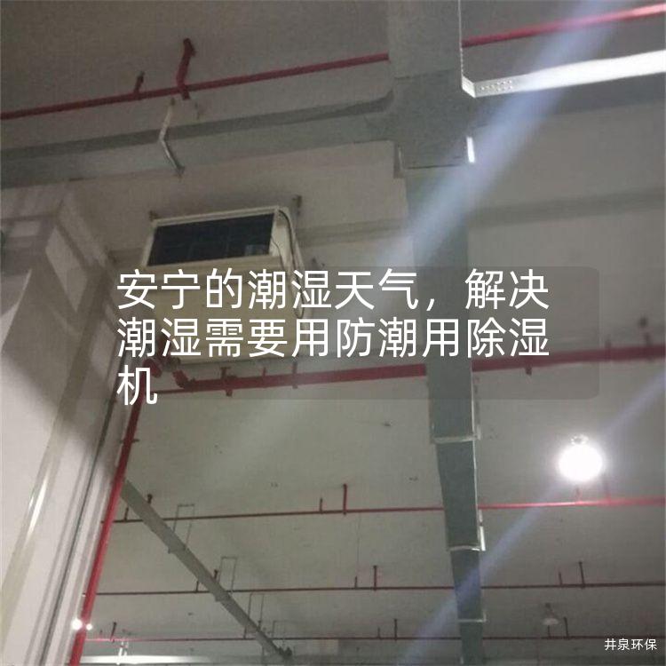 安宁的潮湿天气，解决潮湿需要用防潮用除湿机