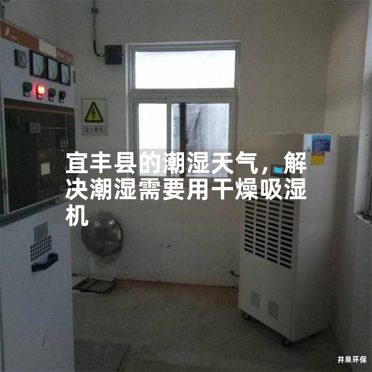 宜丰县的潮湿天气，解决潮湿需要用干燥吸湿机