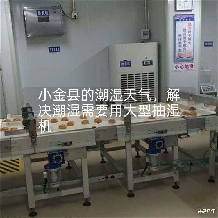 小金縣的潮濕天氣，解決潮濕需要用大型抽濕機