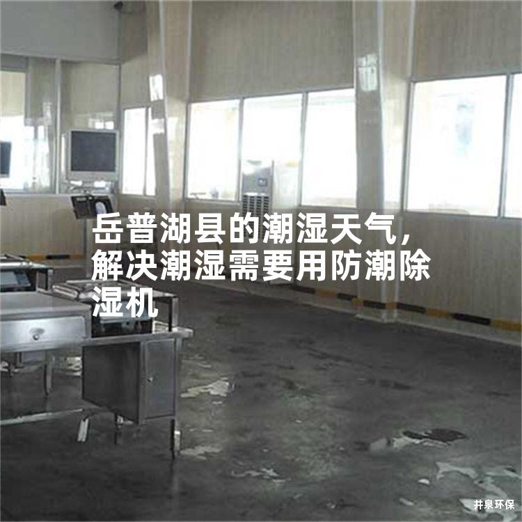 岳普湖縣的潮濕天氣，解決潮濕需要用防潮除濕機