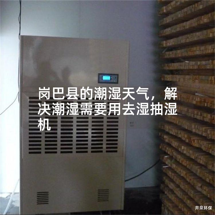 崗巴縣的潮濕天氣，解決潮濕需要用去濕抽濕機