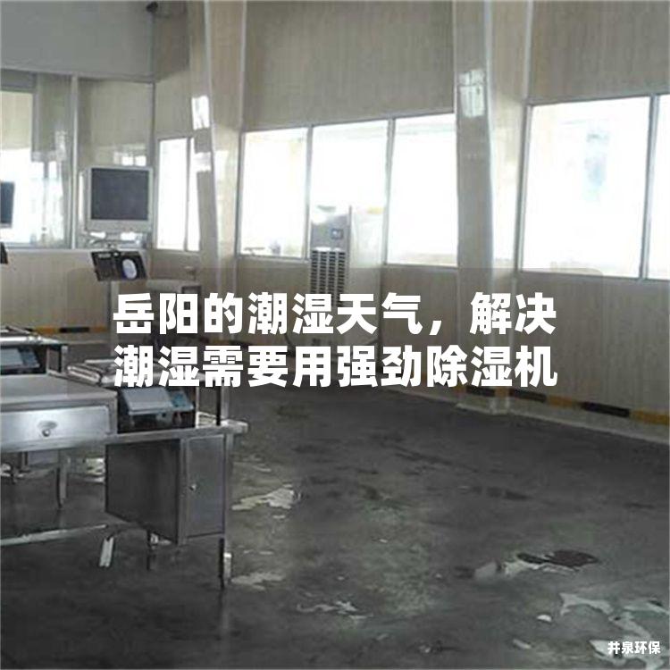 岳阳的潮湿天气，解决潮湿需要用强劲除湿机