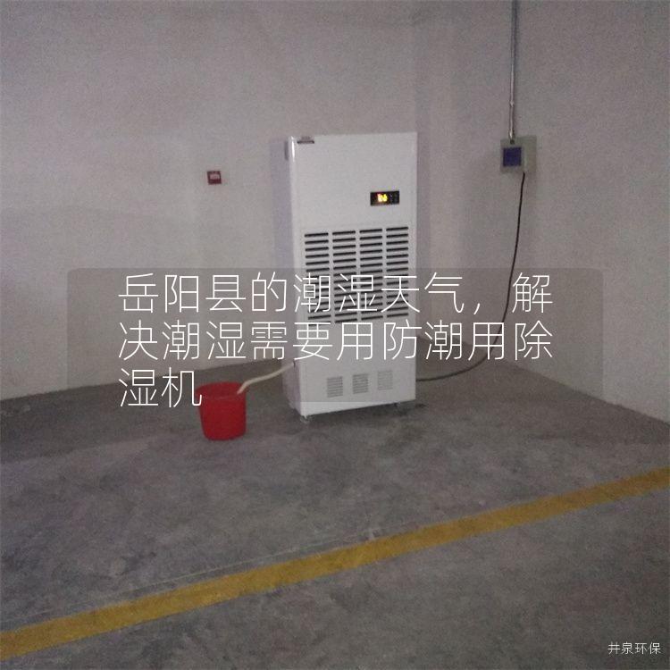 岳阳县的潮湿天气，解决潮湿需要用防潮用除湿机