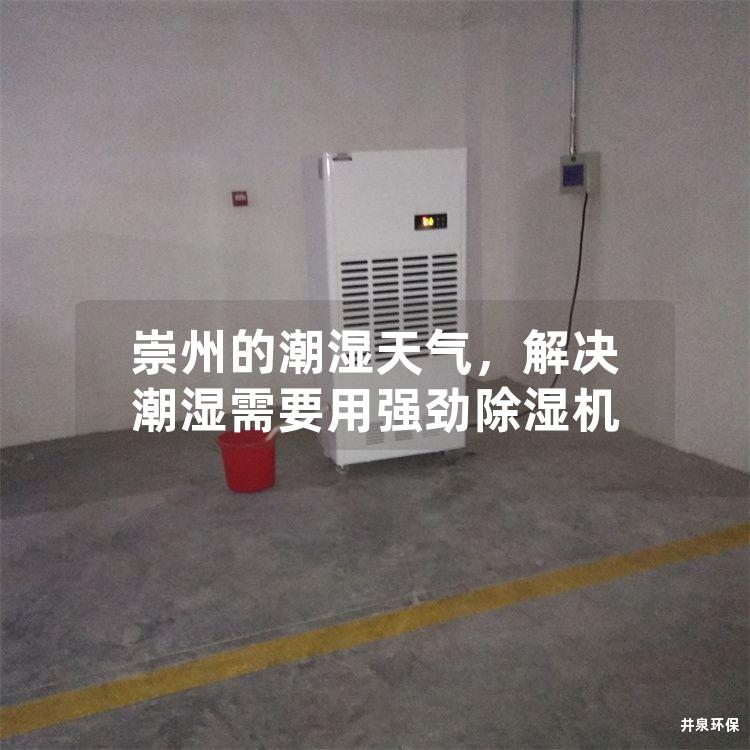 崇州的潮湿天气，解决潮湿需要用强劲除湿机