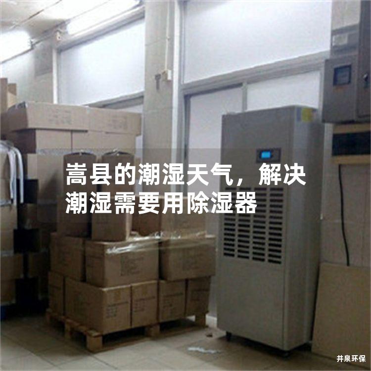 嵩县的潮湿天气，解决潮湿需要用除湿器