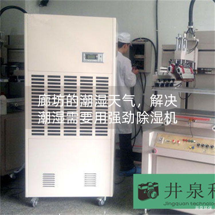 廊坊的潮湿天气，解决潮湿需要用强劲除湿机