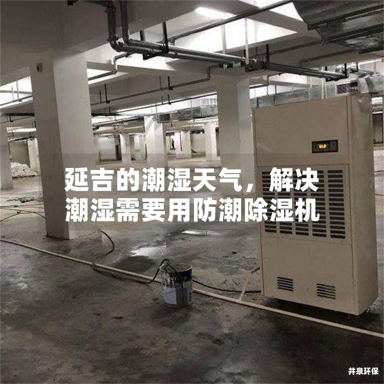 延吉的潮湿天气，解决潮湿需要用防潮除湿机