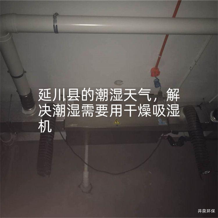 延川縣的潮濕天氣，解決潮濕需要用干燥吸濕機(jī)