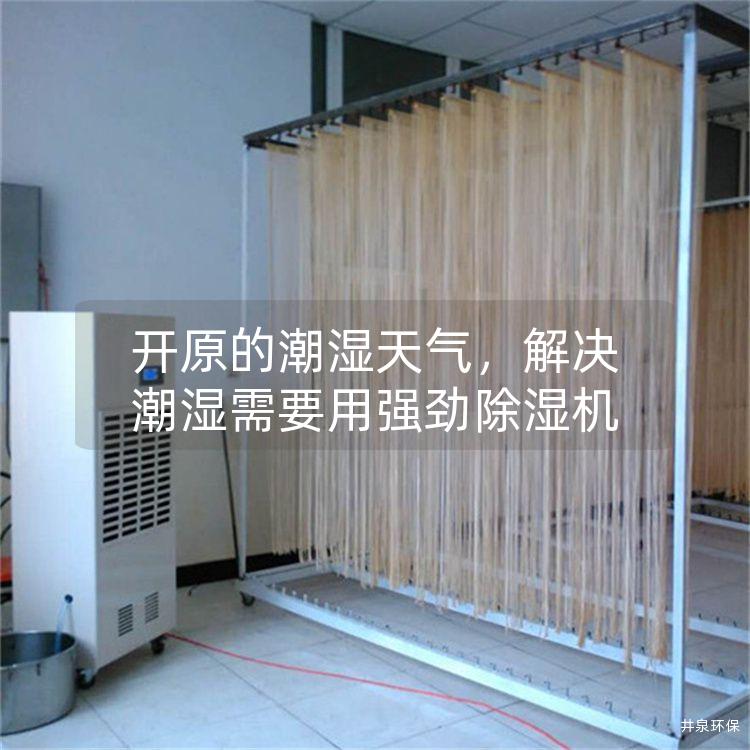 开原的潮湿天气，解决潮湿需要用强劲除湿机