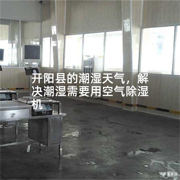 开阳县的潮湿天气，解决潮湿需要用空气除湿机