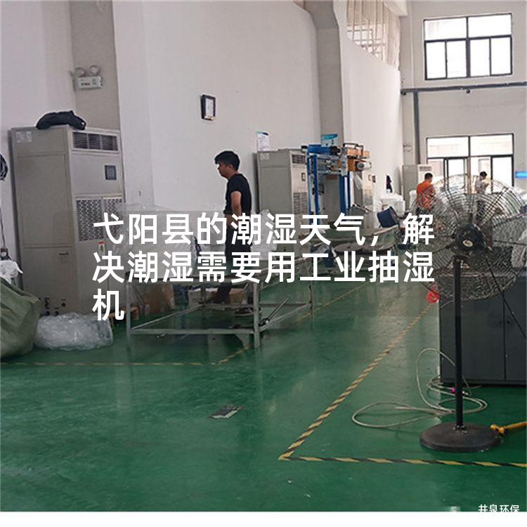 弋阳县的潮湿天气，解决潮湿需要用工业抽湿机