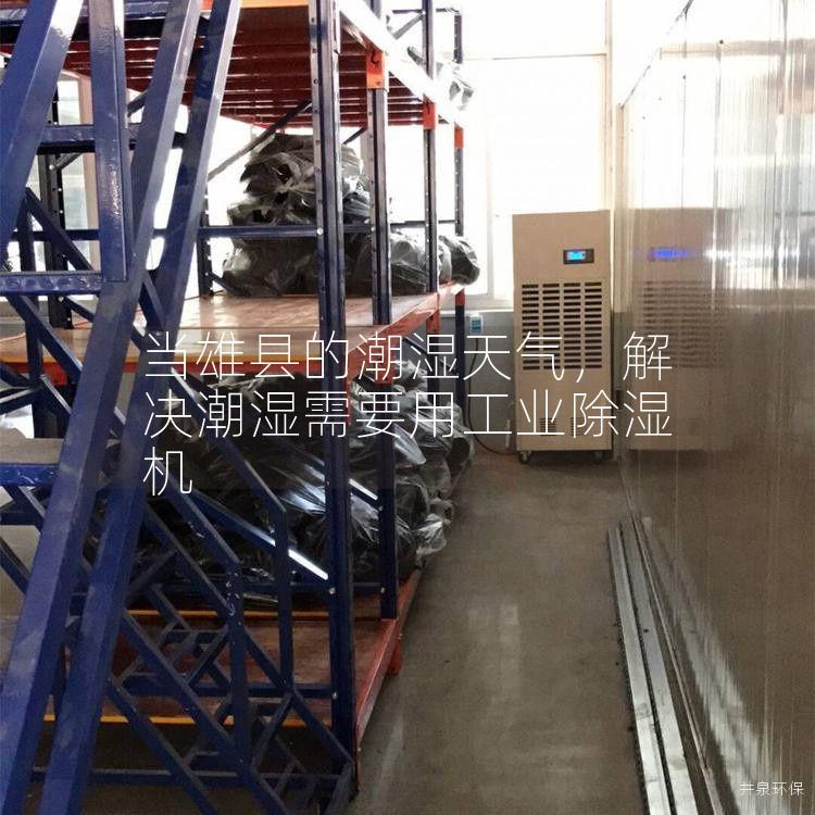 当雄县的潮湿天气，解决潮湿需要用工业除湿机