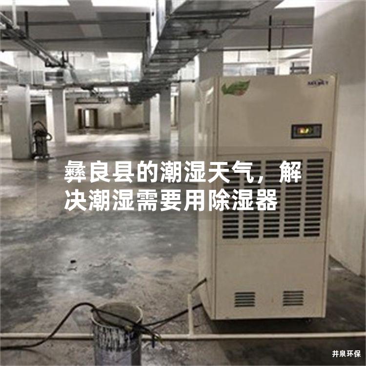 彝良县的潮湿天气，解决潮湿需要用除湿器