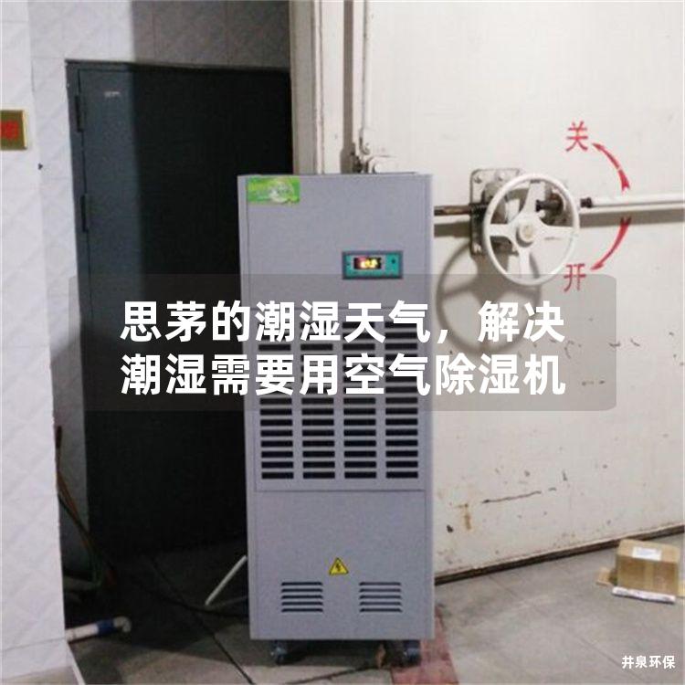 思茅的潮濕天氣，解決潮濕需要用空氣除濕機