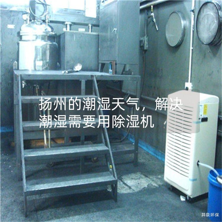 扬州的潮湿天气,解决潮湿需要用除湿机 扬州的潮湿天气,解决潮湿需要用除湿机