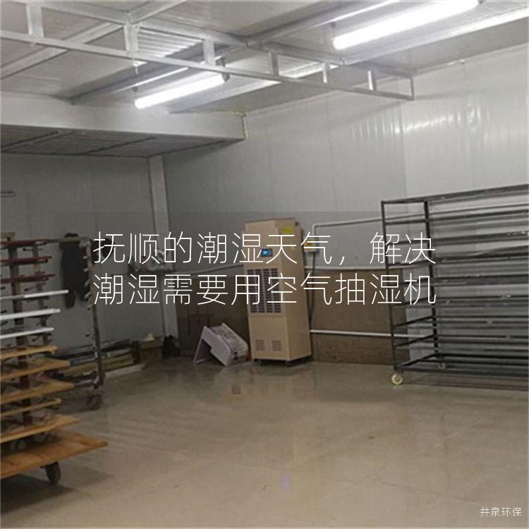 抚顺的潮湿天气，解决潮湿需要用空气抽湿机