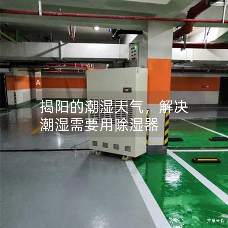揭陽的潮濕天氣，解決潮濕需要用除濕器