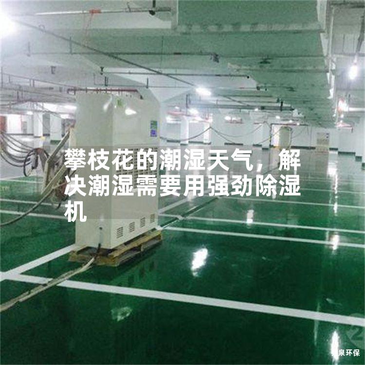 攀枝花的潮湿天气，解决潮湿需要用强劲除湿机
