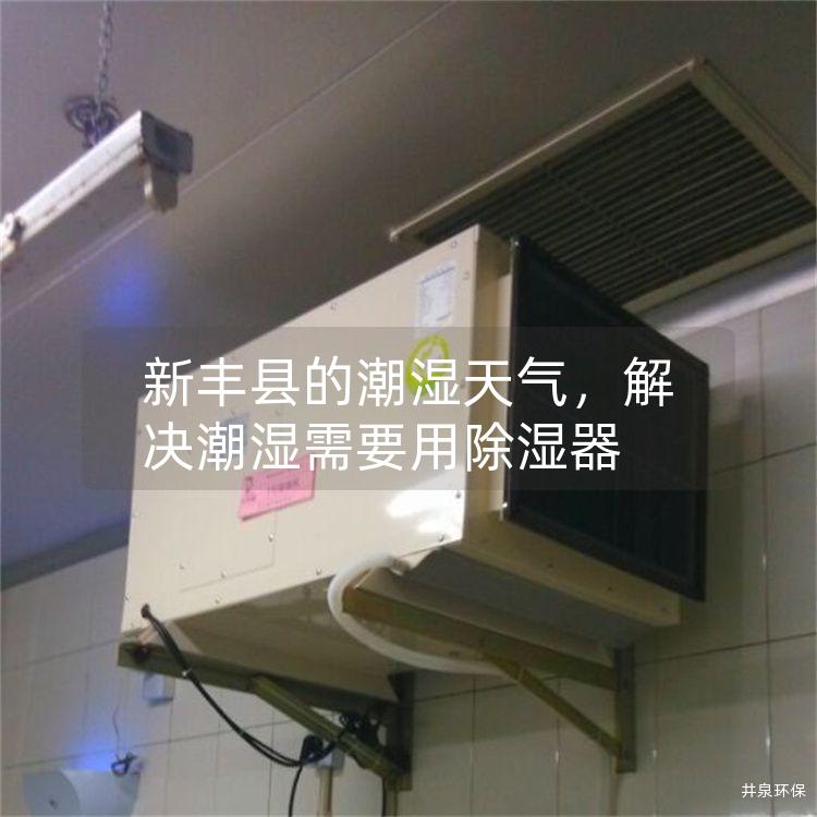 新豐縣的潮濕天氣，解決潮濕需要用除濕器