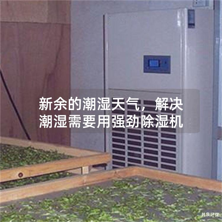 新余的潮湿天气，解决潮湿需要用强劲除湿机