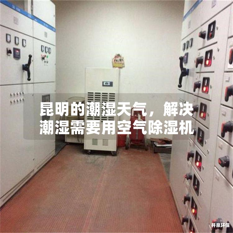 昆明的潮湿天气，解决潮湿需要用空气除湿机