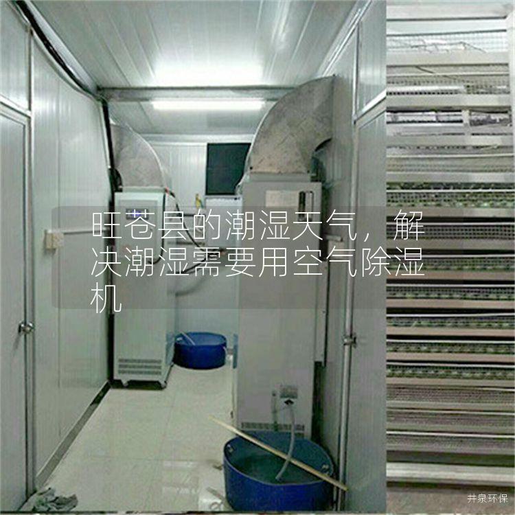 旺苍县的潮湿天气，解决潮湿需要用空气除湿机